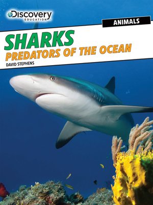 cover image of Sharks: Predators of the Ocean